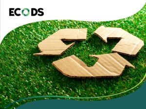 Read more about the article ECODS, inspired by the circular economy